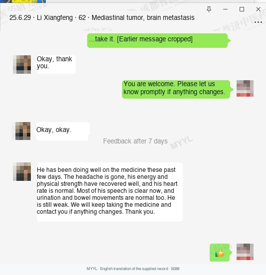 Mediastinal tumors: A family update on speech and energy. English source image 1, with original photographs and clinical records where present.