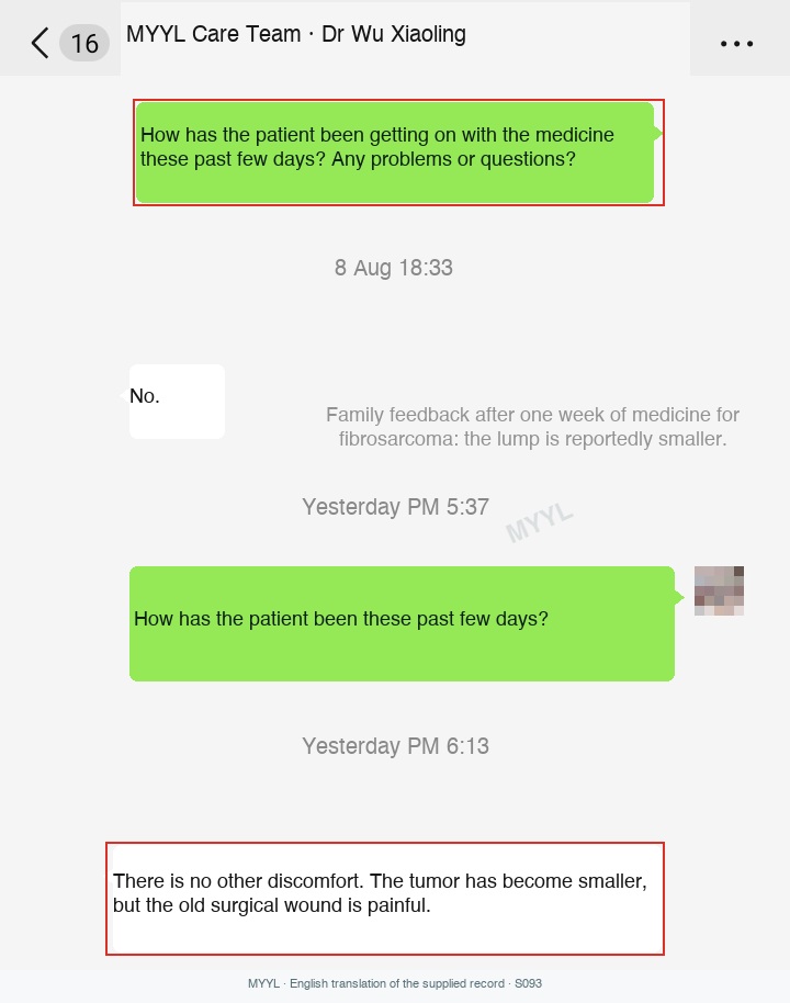 Sarcoma: A smaller-feeling lump, with pain at the surgical site. English source image 1, with original photographs and clinical records where present.